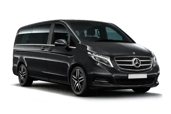 Business Van/SUV